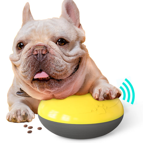 Squeaky Bite-Resistant Puppy Supplies Dog Float Toy